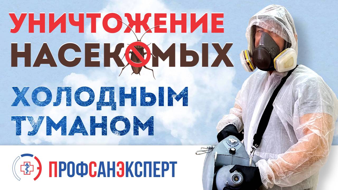 Видео превью